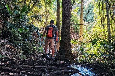 Hike To The Figure Eight Pools - Attractions Sydney 0