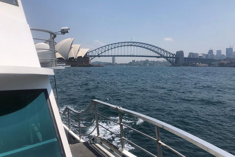 Sydney Harbour Discovery Cruise Including Lunch - Attractions Sydney 3
