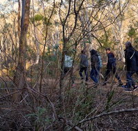 Wild Australian Wildlife 4WD Tour from Sydney - Attractions Sydney
