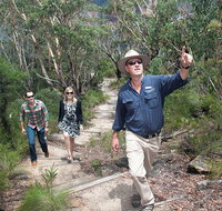 Small-Group Blue Mountains Tour with Bush Walks and Featherdale Wildlife Park - Attractions Sydney