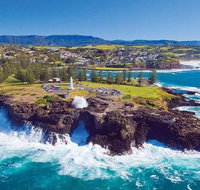 Sydney Wine Tour  Wine Waves  Wildlife in South Coast - Attractions Sydney