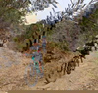 Mount Lofty Descent Bike Tour from Adelaide - Attractions Sydney