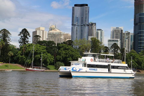 Lone Pine Koala Sanctuary Admission With Brisbane River Cruise - Attractions Sydney 2