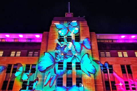 Vivid 90-Minute Sydney Harbour Small Group Catamaran Cruise - Attractions Sydney 0