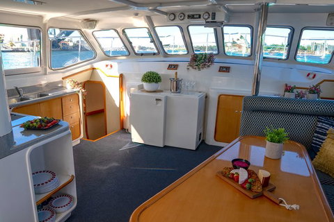 Vivid 90-Minute Sydney Harbour Small Group Catamaran Cruise - Attractions Sydney 5