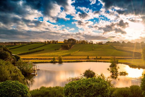Josef Chromy Wines Winery Tour Including Tasting And Lunch - Attractions Sydney 3