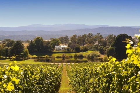 Josef Chromy Wines Winery Tour Including Tasting And Lunch - Attractions Sydney 4