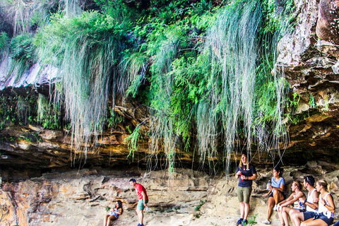 Sunset Blue Mountains Wilderness & Wildlife Tour Without The Crowds - Attractions Sydney 1