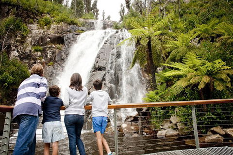 Lake Mountain Snow Trip Including Yarra Valley Chocolaterie From Melbourne - Attractions Sydney 0