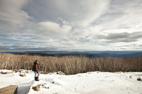 Lake Mountain Snow Trip Including Yarra Valley Chocolaterie From Melbourne - Attractions Sydney 5