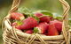 Mornington Peninsula Farm Produce Wine And Cider Tour - thumb 1