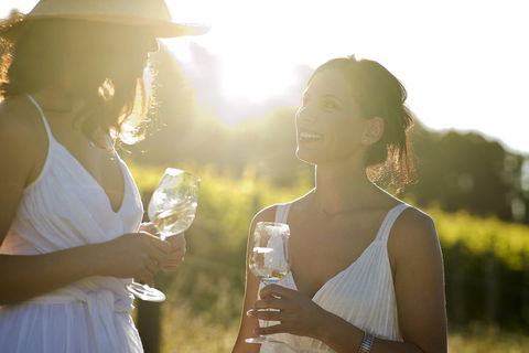 Mornington Peninsula Farm Produce Wine And Cider Tour - Attractions Sydney 2