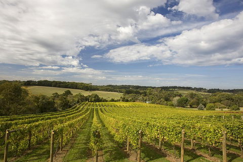Mornington Peninsula Farm Produce Wine And Cider Tour - Attractions Sydney 5