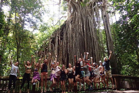 Atherton Tablelands Waterfalls Tour From Cairns - Attractions Sydney 5