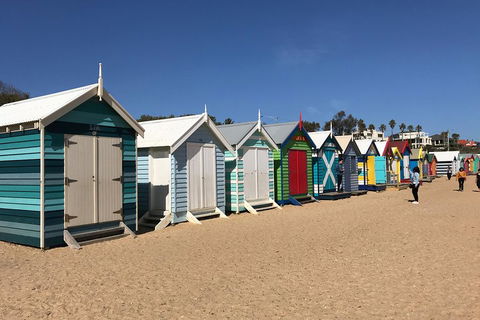 Phillip Island Penguin Parade, Brighton Bathing Boxes And Wildlife Park Tour - Attractions Sydney 3