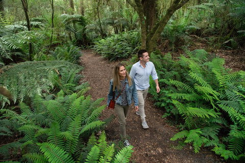 Great Ocean Road Full Coastal Tour - 3 Days, 2 Nights - Attractions Sydney 4
