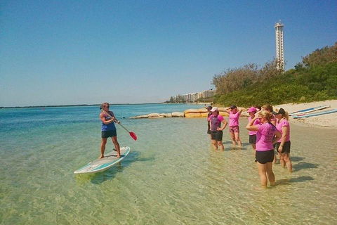 Golden Beach 1-Hour Stand-Up Paddleboard Hire On The Sunshine Coast - Attractions Sydney 1