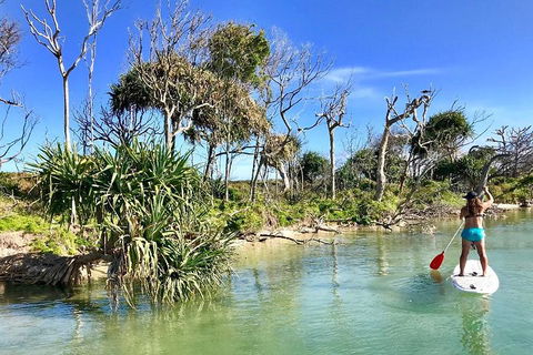 Golden Beach 1-Hour Stand-Up Paddleboard Hire On The Sunshine Coast - Attractions Sydney 5