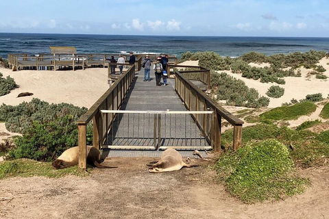 Kangaroo Island 4WD Tour - Best Of KI - Attractions Sydney 2