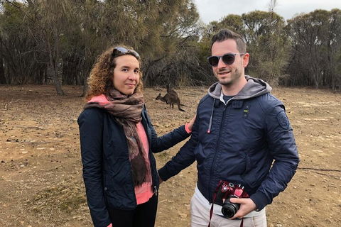 Kangaroo Island 4WD Tour - Best Of KI - Attractions Sydney 3